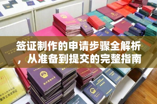 江州签证制作的申请步骤全解析，从准备到提交的完整指南
