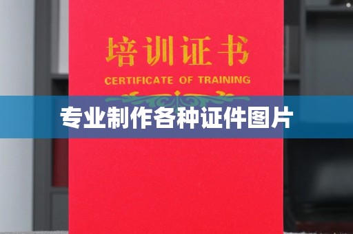 江州专业制作各种证件图片