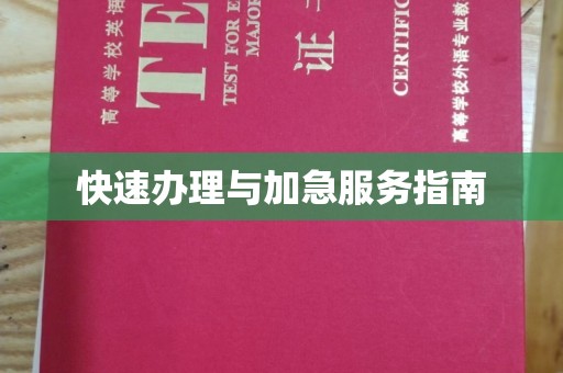 江州快速办理与加急服务指南
