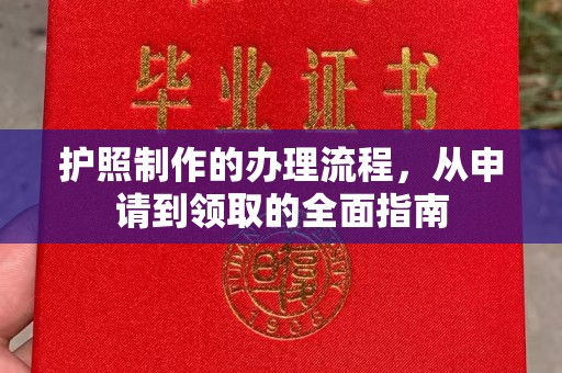 江州护照制作的办理流程，从申请到领取的全面指南