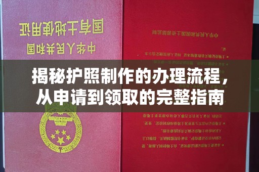 江州揭秘护照制作的办理流程，从申请到领取的完整指南