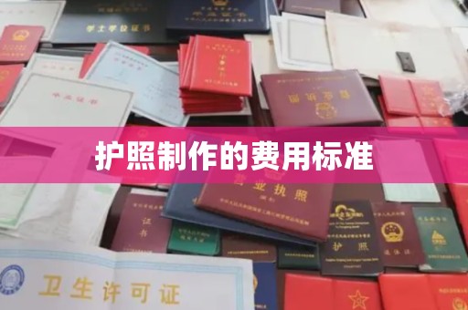 江州护照制作的费用标准