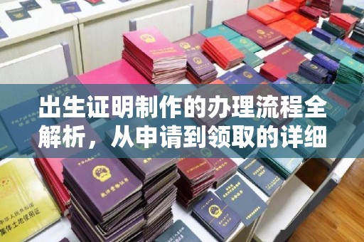 江州出生证明制作的办理流程全解析，从申请到领取的详细指南